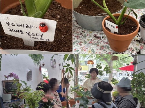 [성장이음팀] 마을이음터 '나의 반려식물 키우기'...