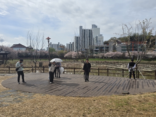 [직업지원팀] 자조모임_벚꽃축제
